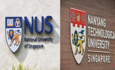 游学行程（定制化）