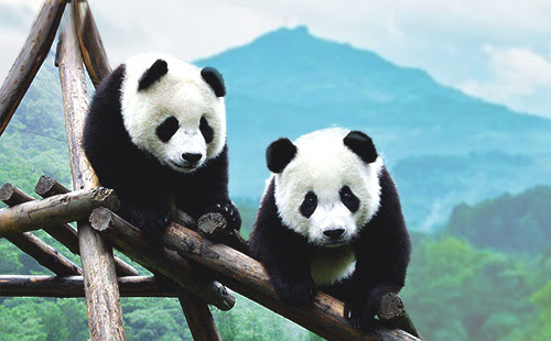 游学行程（海外）